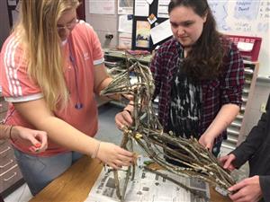 Making a Fox Sculpture out of Twigs! 